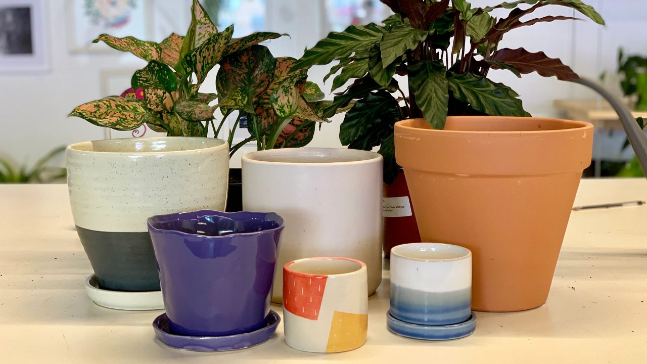 Choosing the Right Pot/Planter: Enhancing Your Plant's Growth and Style